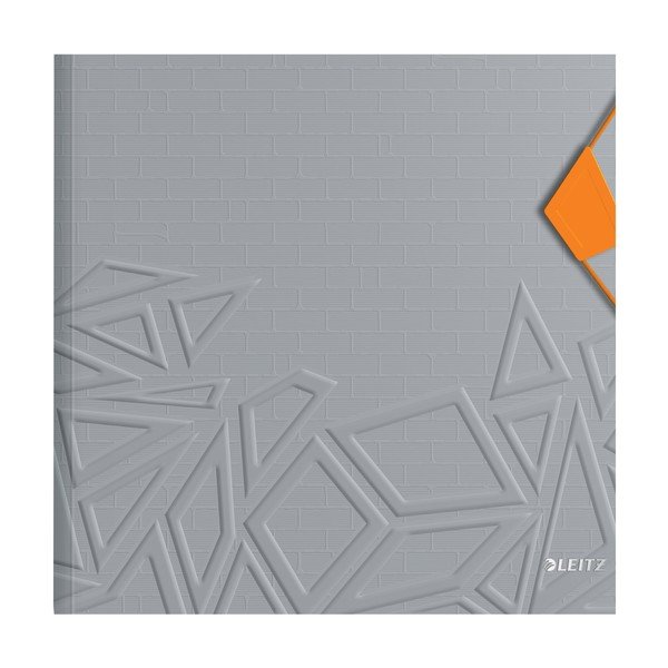Mapă compartimentată Leitz, gri-image-2