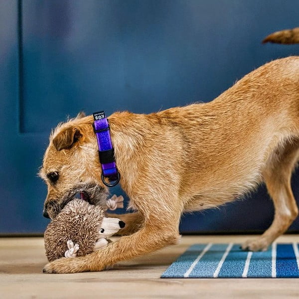 Jucărie pentru câine Arici – P.L.A.Y.-image-2