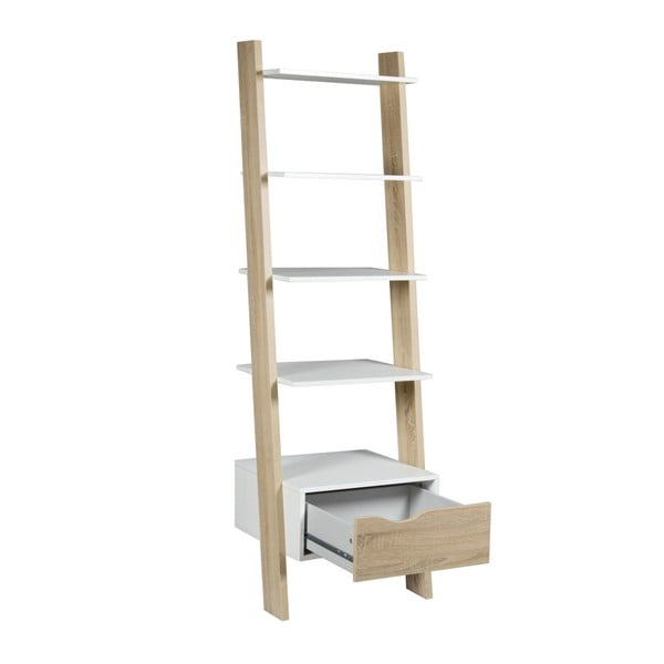 Bibliotecă Leslie-image-3