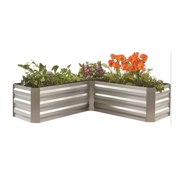 Pat ridicat de plante Magnolia – Garden Pleasure-image-1