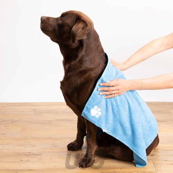 Prosop pentru animale – Love Story-image-1