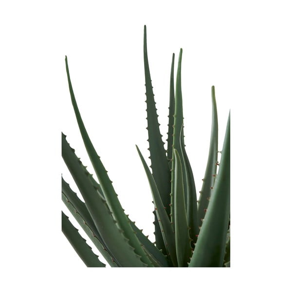 Plantă artificială (înălțime 51 cm) Aloe Vera – House Nordic-image-3