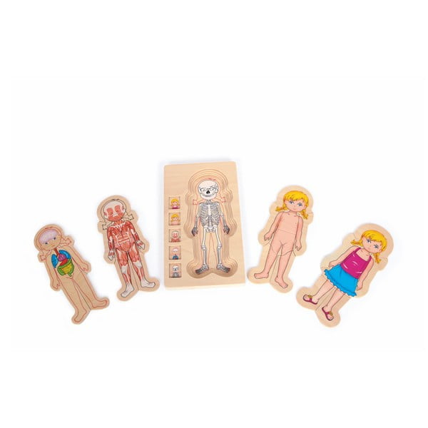 Jucărie din lemn Legler Anatomy Girl