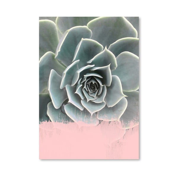 Poster Americanflat Pink On Succulent, 30 x 42 cm