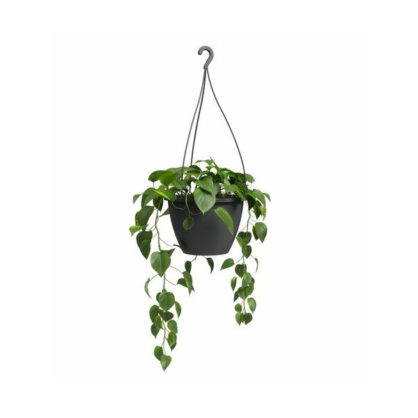 Ghiveci din plastic ø 31 cm Algarve – Artevasi