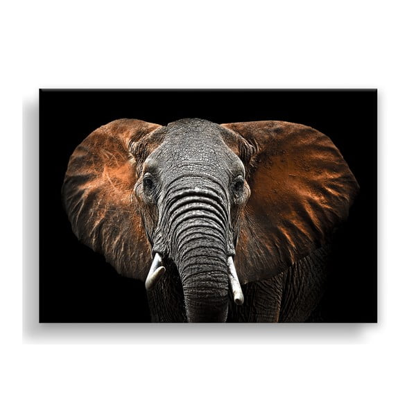 Tablou Styler Canvas Silver Uno Elephant, 85 x 113 cm
