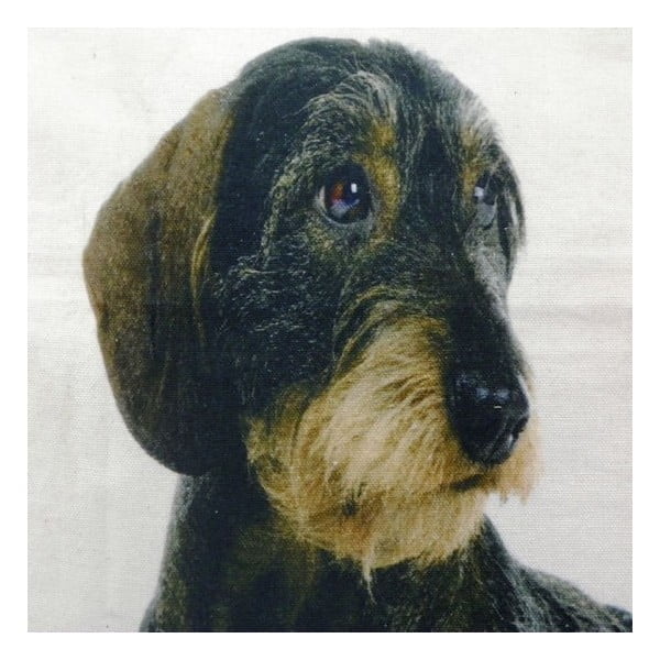 Pernă Mars&More Dog, 50 x 50  cm-image-1