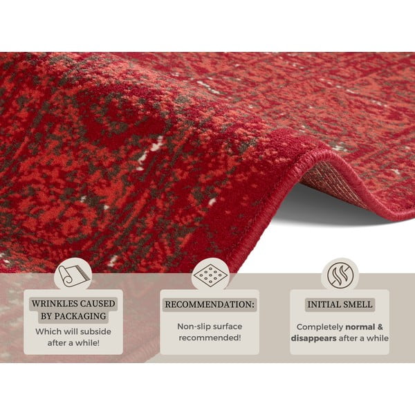 Covor Hanse Home Celebration Plume, 80x150 cm, roșu-image-4