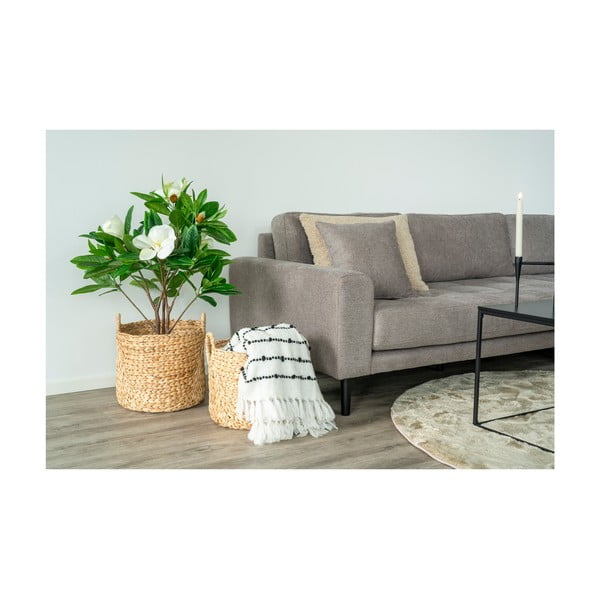 Coșuri de depozitare 2 buc. din zambilă de apă ø 35x37 cm Passo – House Nordic-image-1