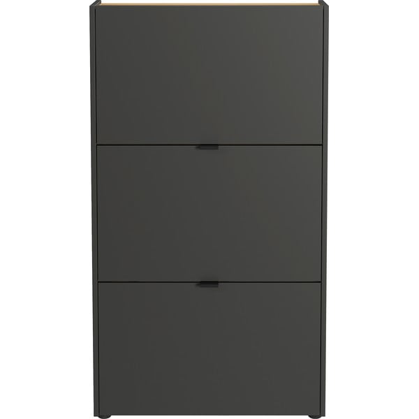 Pantofar gri antracit cu deschidere înclinată 71x127x22 cm Ameca – Germania-image-3