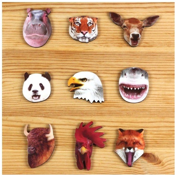 Magneți Jungle Magnets-image-1