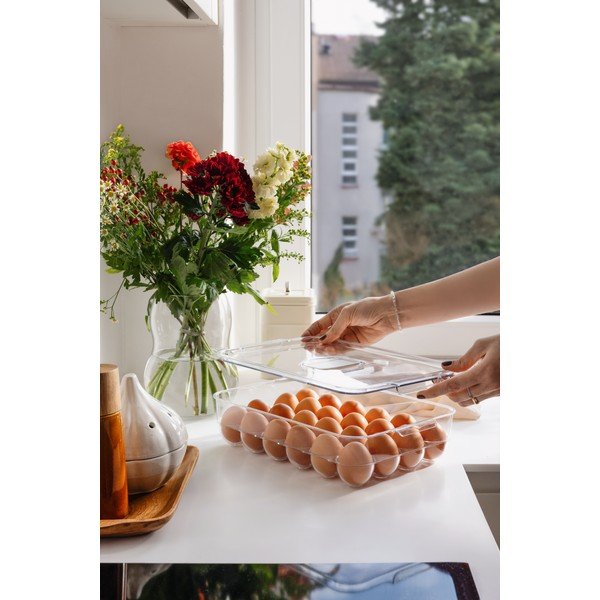 Organizator de frigider pentru ouă din plastic 33x21 cm – Casa De Engel-image-2