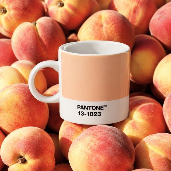 Ceașcă piersică pentru espresso din porțelan 120 ml Peach Fuzz 13-1023 – Pantone-image-1