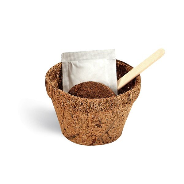 Set grădinărit cu semințe de trifoi Gift Republic Good Luck-image-1