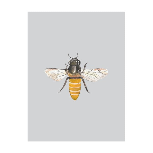 Poster Apolena Little Bee, 40 x 50 cm
