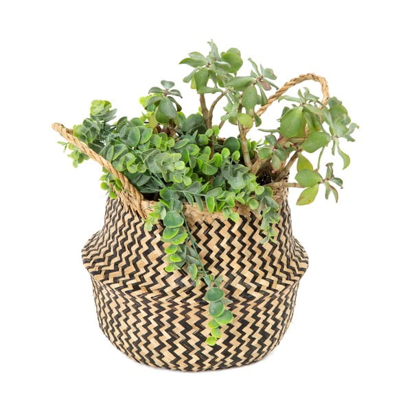 Coş depozitare din iarbă de mare Compactor Zic Zac, ⌀ 27 cm-image-2