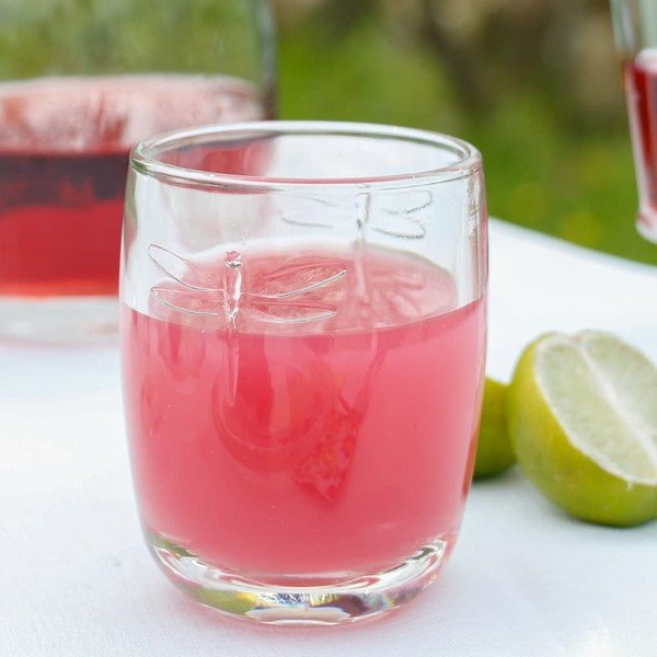 Set 6 pahare La Rochère Libellules, 280 ml-image-1