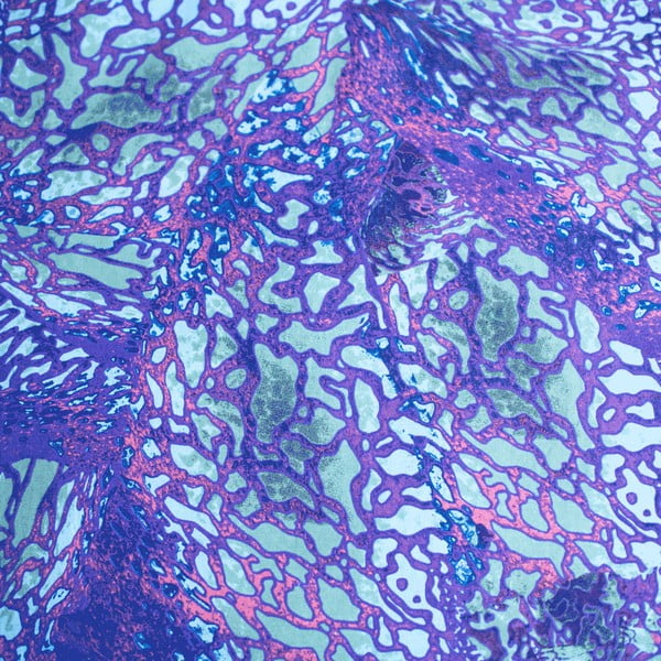 Lenjerie de pat pentru copii albastră din bumbac pentru pat de o persoană 140x200 cm How To Train Your Dragon – Jerry Fabrics-image-4