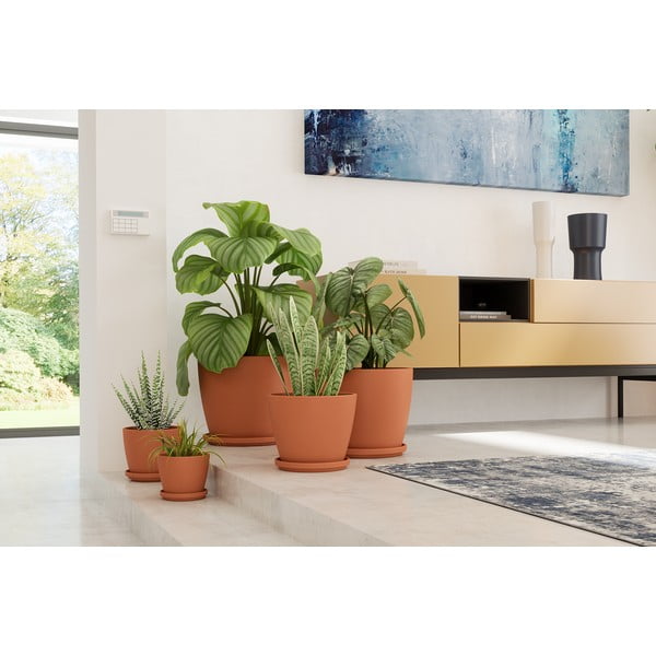 Farfurie pentru ghiveci din teracotă ø 27 cm – Artevasi-image-3