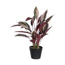 Plantă artificială (înălțime 55 cm) Bird of Paradise – Ixia