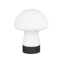 Veioză alb mat LED cu abajur din sticlă (înălțime 18 cm) Dooley – Reality