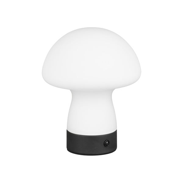 Veioză alb mat LED cu abajur din sticlă (înălțime 18 cm) Dooley – Trio