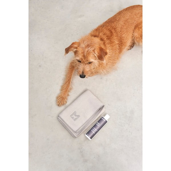 Prosop pentru animale Panno Greige S/M – MiaCara-image-4