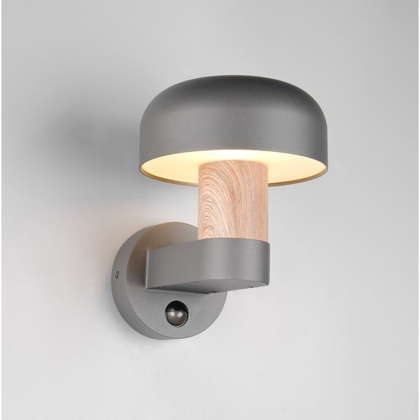 Corp de iluminat pentru exterior, de perete (înălțime 24,5 cm) Fraser – Trio-image-1