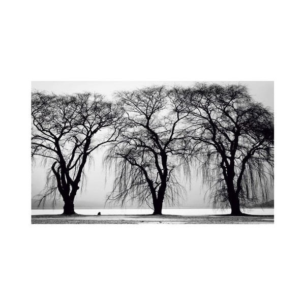 Tablou Black&White Trees, 41 x 70 cm