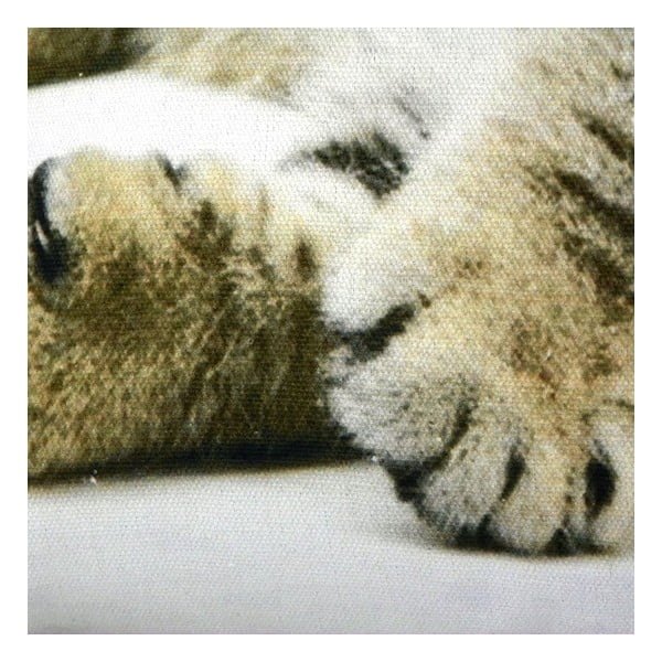 Pernă Cat 50x35 cm-image-1