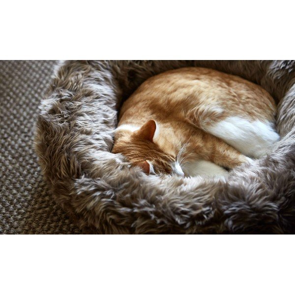 Pat  crem pentru animale de companie din blană artificială ø 50 cm Lana Ivory/Mottled Natural – MiaCara-image-2