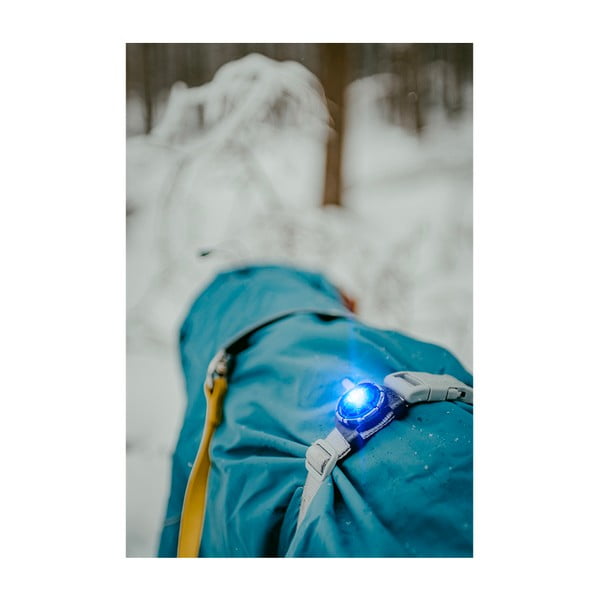 Lanternă LED pentru zgardă Blue – Orbiloc-image-3