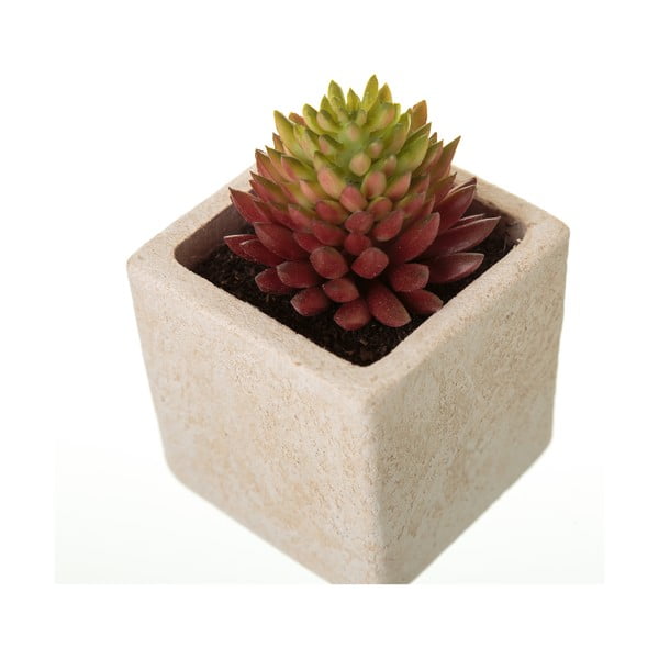 Plante artificiale 6 buc. (înălțime 9,5 cm) Cactus – Casa Selección-image-4