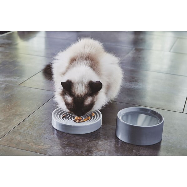 Bol pentru animale pentru pisici din porțelan ø 14 cm Fresco Concrete S – MiaCara-image-1