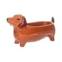 Bol decorativ din porțelan 5x14 cm Sausage Dog – Sass & Belle