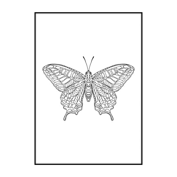 Poster Imagioo Butterfly, 40 x 30 cm