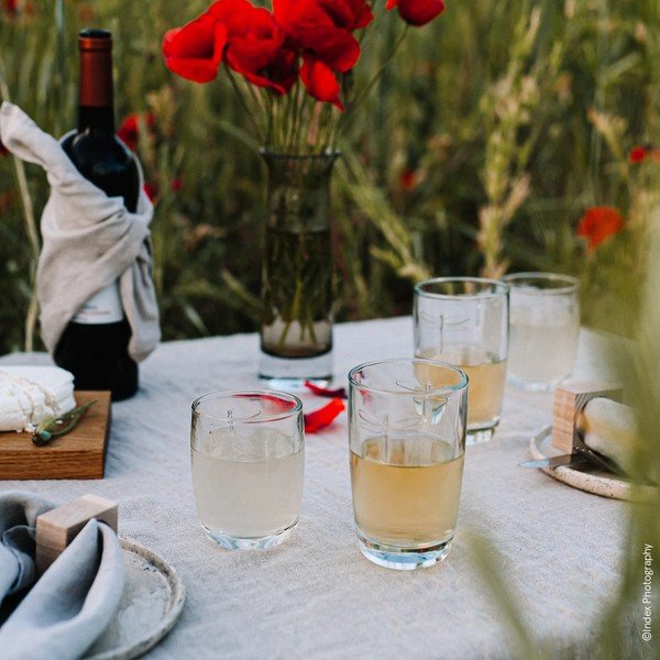 Pahar La Rochère Libellules, 350 ml-image-2