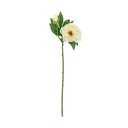 Plantă artificială (înălțime 62 cm) Peony – Bloomingville
