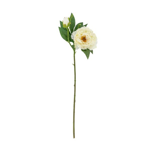 Plantă artificială (înălțime 62 cm) Peony – Bloomingville