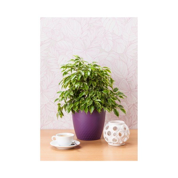 Ghiveci Plastia Perla, ø 19 cm, mov-image-1
