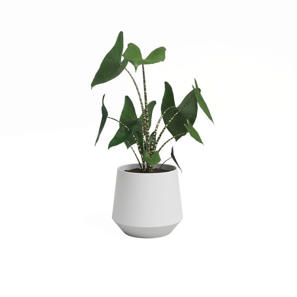 Ghiveci din ceramică ø 17 cm Aurora – Artevasi-image-3