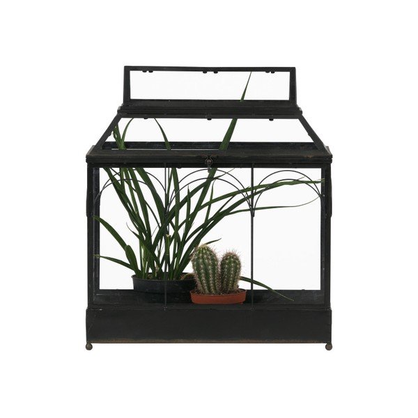 Terariu pentru plante BePureHome Grow-image-1