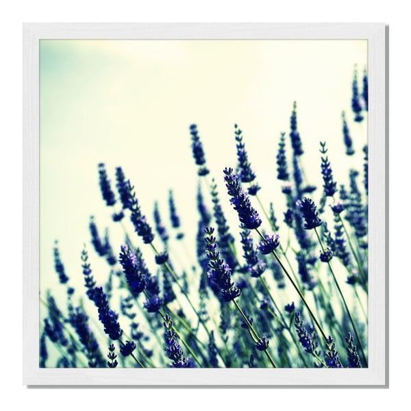 Tablou înrămat Liv Corday Provence Lavender Field, 40 x 40 cm