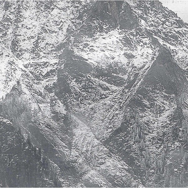 Set 2 fețe de pernă din bumbac Blanc Alaska, 50 x 75 cm-image-1