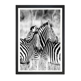 Tablou Tablo Center Zebras, 24 x 29 cm
