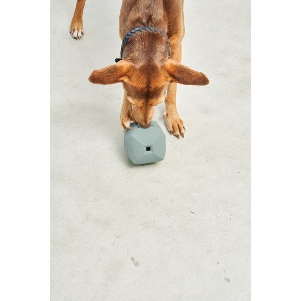 Jucărie pentru câine Dado Eucalyptus – MiaCara-image-3