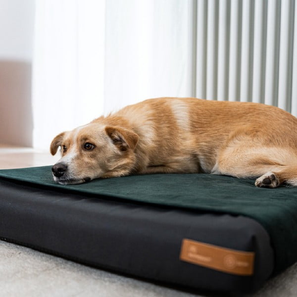 Saltea ortopedică neagră pentru câini 50x40 cm Ori S – Rexproduct-image-3
