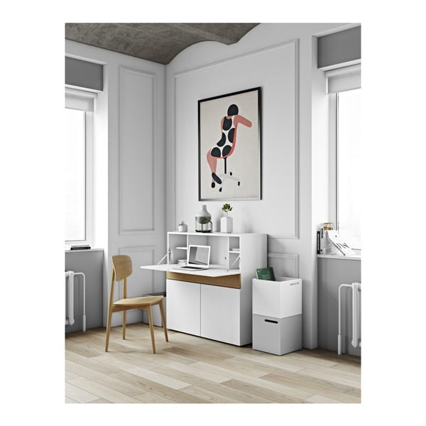 Cutie depozitare pentru bibliotecă TemaHome Berlin, alb-image-1