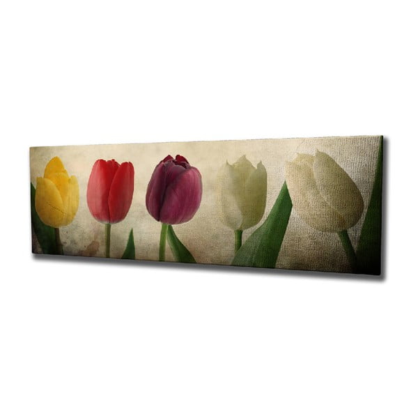 Tablou pe pânză Tulip, 80 x 30 cm