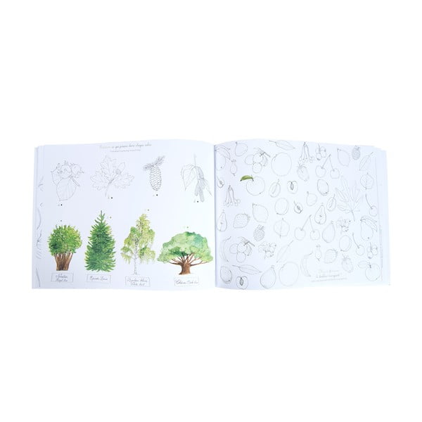 Carte de colorat pentru micii grădinari Moulin Roty-image-3